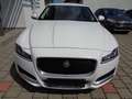Jaguar XF 20d Prestige Aut. Weiß - thumbnail 2