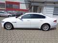 Jaguar XF 20d Prestige Aut. Weiß - thumbnail 3
