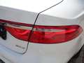 Jaguar XF 20d Prestige Aut. Weiß - thumbnail 6