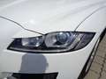 Jaguar XF 20d Prestige Aut. Weiß - thumbnail 22