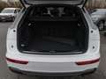 Audi Q5 40 TDI Q 2x S LINE MATRIX KAMERA AHK PANO Weiß - thumbnail 16