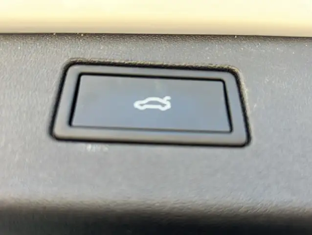 Volkswagen Tiguan view 15