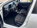 Mazda 2 2 M-HYBRID KIZOKU / Camera / Apple / 72000km Blanc - thumbnail 11