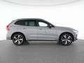 Volvo XC60 T8 AWD Plus Dark 21"+H&K+360°+ACC+WSS-HZG Grau - thumbnail 12