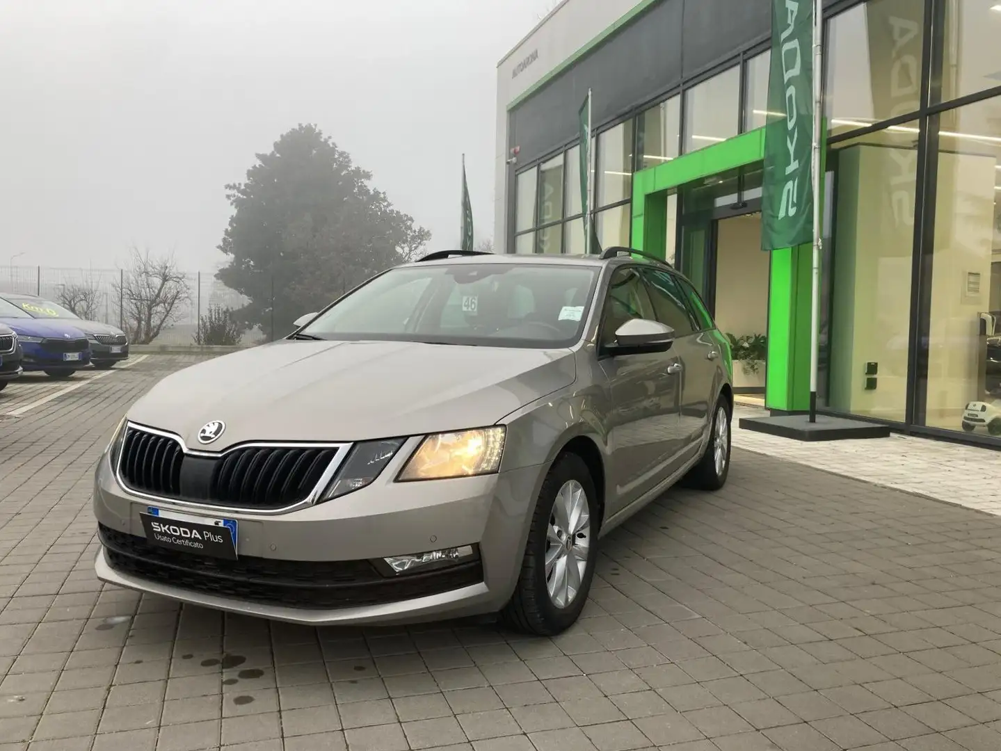Skoda Octavia Octavia Wagon 1.0 tsi Executive 115cv Bronce - 1
