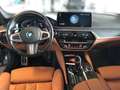 BMW 530 d xDrive M-Sport*Drive Assist*Stop&Go*ad.LED*Park Grau - thumbnail 10
