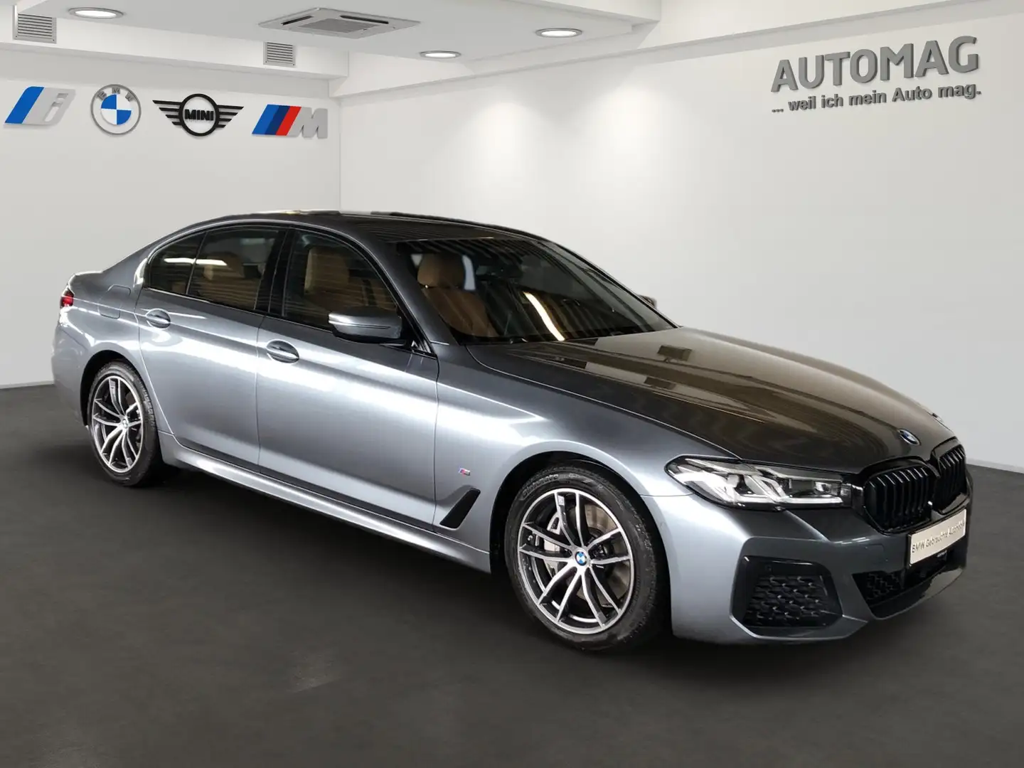 BMW 530 d xDrive M-Sport*Drive Assist*Stop&Go*ad.LED*Park Grau - 2
