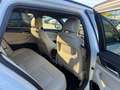 BMW 530 e M Paket,Shadow,Virtual,Leder,R-Kam.3,99% Wit - thumbnail 24