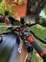 Ducati Monster 821 Dark stealth Noir - thumbnail 4