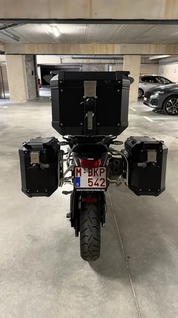 Triumph Tiger 900 Rally Pro Noir - 2