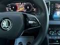 Skoda Karoq 2.0 TDI Style 4x4 Aut. //AKH, Matrix-LED+++// Schwarz - thumbnail 17