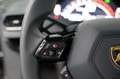 Lamborghini Huracán Tecnica AdPersonam/CARBON/LIFT/SENSONUM/ Braun - thumbnail 41