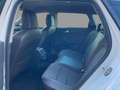 SEAT Leon Sportstourer 2.0 TDI DSG Xcellence Navi LED Weiß - thumbnail 10