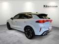 CUPRA Terramar 1.5eTSI HD-MATRIX HUD 360° NAV SHZ DCC Weiß - thumbnail 5