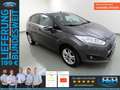 Ford Fiesta 1.0 Ecob Titanium AHK+Celebration-Paket Gris - thumbnail 1