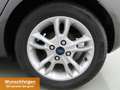 Ford Fiesta 1.0 Ecob Titanium AHK+Celebration-Paket Gris - thumbnail 7