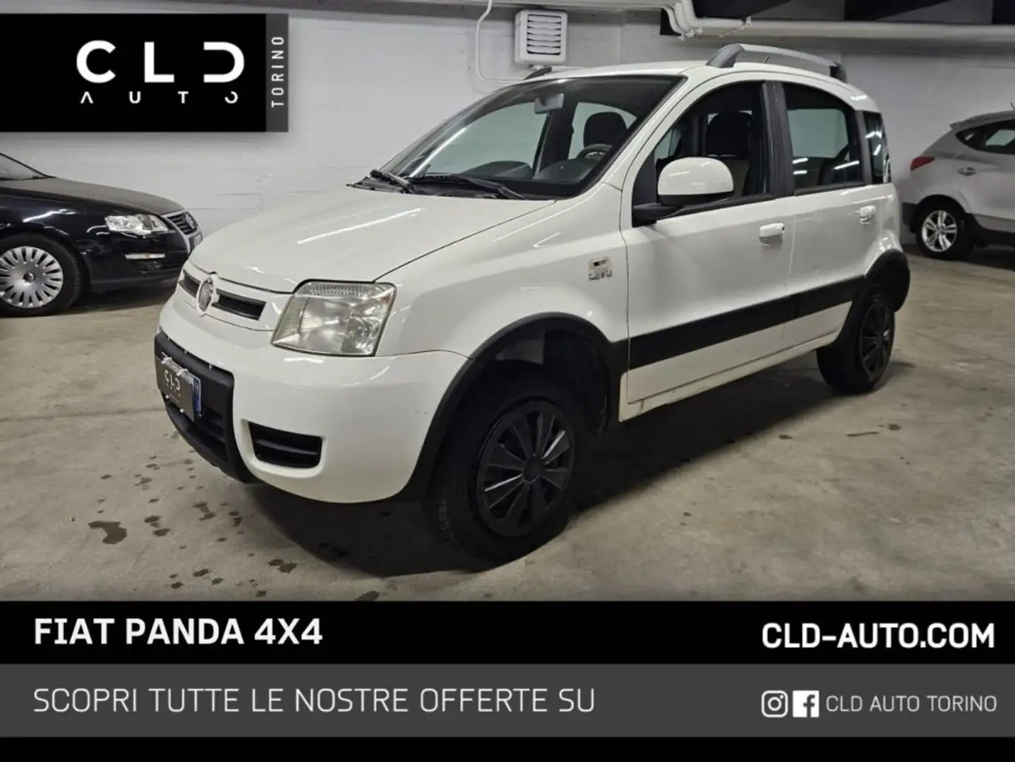 Fiat Panda 1.2 4x4 Climbing Bianco - 1