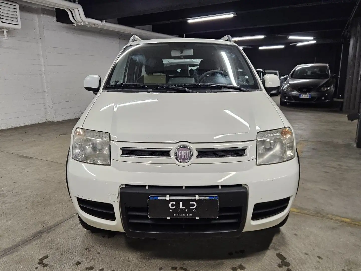 Fiat Panda 1.2 4x4 Climbing Bianco - 2