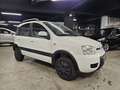 Fiat Panda 1.2 4x4 Climbing Bianco - thumbnail 3