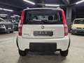 Fiat Panda 1.2 4x4 Climbing Bianco - thumbnail 5