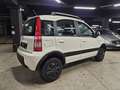 Fiat Panda 1.2 4x4 Climbing Bianco - thumbnail 6