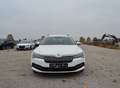 Skoda Superb Kombi 2,0 TDI Ambition DSG Weiß - thumbnail 3