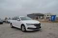 Skoda Superb Kombi 2,0 TDI Ambition DSG Weiß - thumbnail 5