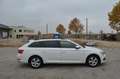 Skoda Superb Kombi 2,0 TDI Ambition DSG Weiß - thumbnail 7