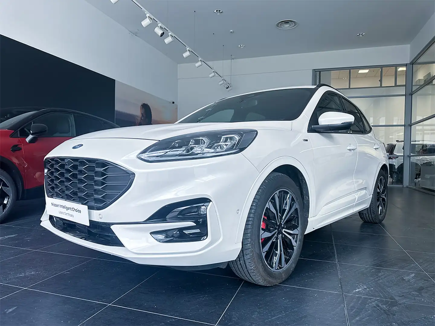 Ford Kuga 1.5 ecoblue st-line 2wd 120cv auto Grau - 1