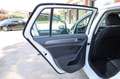 Volkswagen Golf 7 Berlina 1.6 TDI Ideale per NEOPATENTATI USB Tel Bianco - thumbnail 50
