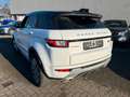 Land Rover Range Rover Evoque SE Dynamic Weiß - thumbnail 4