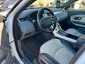 Land Rover Range Rover Evoque SE Dynamic Weiß - thumbnail 8