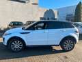 Land Rover Range Rover Evoque SE Dynamic Weiß - thumbnail 3