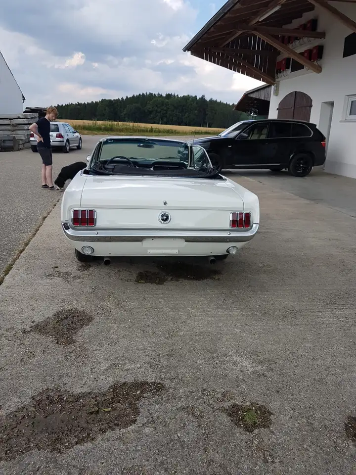 Ford Mustang, foto 5