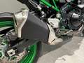 Kawasaki Z 900 Z 900 Verde - thumbnail 10