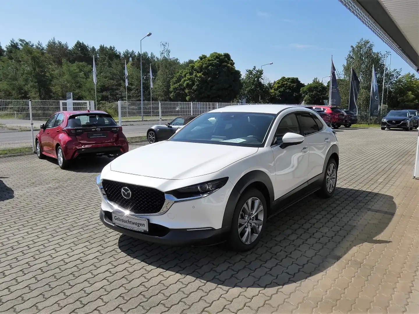 Mazda CX-30 SKYACTIV-G 2.0 150PS M Hybrid SEL DES-P PRE-P LED- Blanco - 2