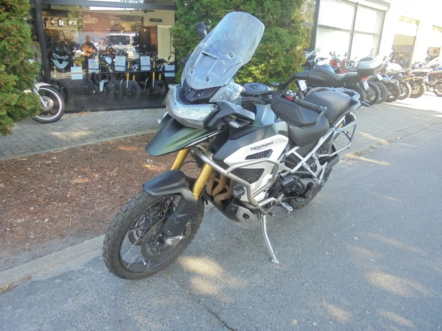 Triumph Tiger 1200 RALLY EXPLORER Verde - 2