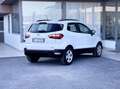 Ford EcoSport 1.0 Benzina 100CV E6 Neo. - 2019 Weiß - thumbnail 5
