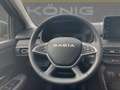 Dacia Sandero Expression TCe 100 ECO-G Blau - thumbnail 10
