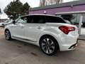Citroen DS5 SportChic "AHK"HU/AU+Service Neu" Білий - thumbnail 10