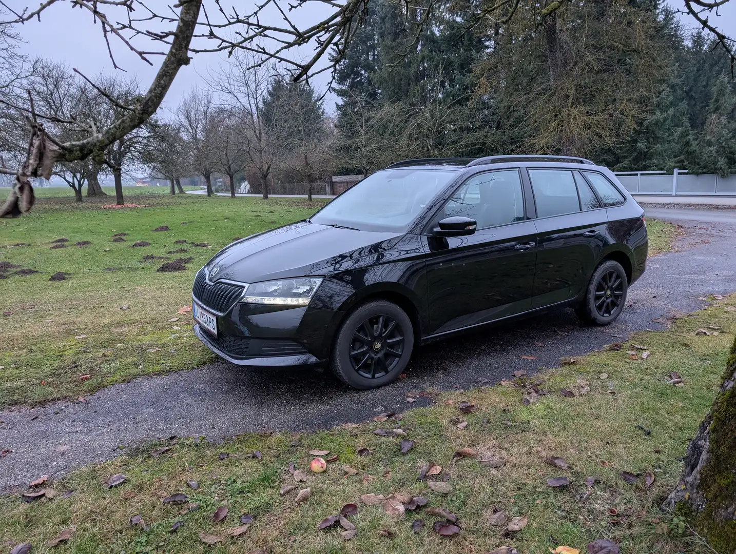 Skoda Fabia Kombi 125 1,0 TSI, Pickerl bis 2027 Schwarz - 1