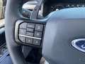 Ford F 150 RAPTOR 3.5 V6 High Output SuperCrew Grijs - thumbnail 19