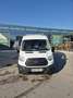 Ford Transit Weiß - thumbnail 5