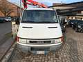 Iveco Daily 35  CASSONE 3,70X 2,10 METRI CON GRU FASSI F 30 A Blanc - thumbnail 1