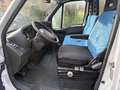 Iveco Daily 35  CASSONE 3,70X 2,10 METRI CON GRU FASSI F 30 A Blanc - thumbnail 7