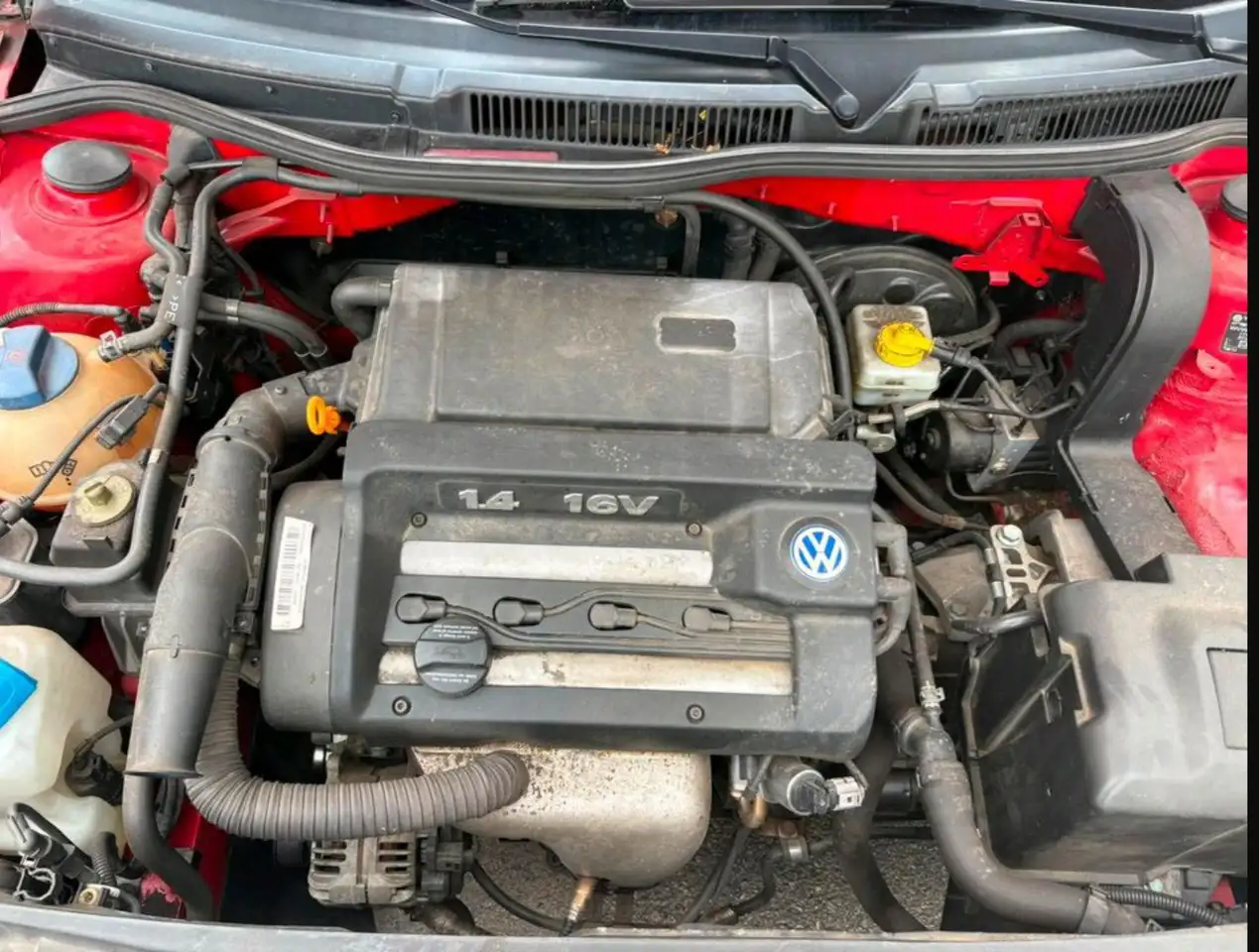 Volkswagen Golf 1.4 Special, foto 5