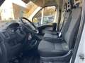 Fiat Ducato 3.0 tdi multijet Blanco - thumbnail 7
