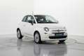 Fiat 500 1.0 Hybrid Cult 52kW Wit - thumbnail 3