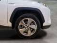 Toyota RAV 4 2.5l 220H Advance 4WD Blanco - thumbnail 10
