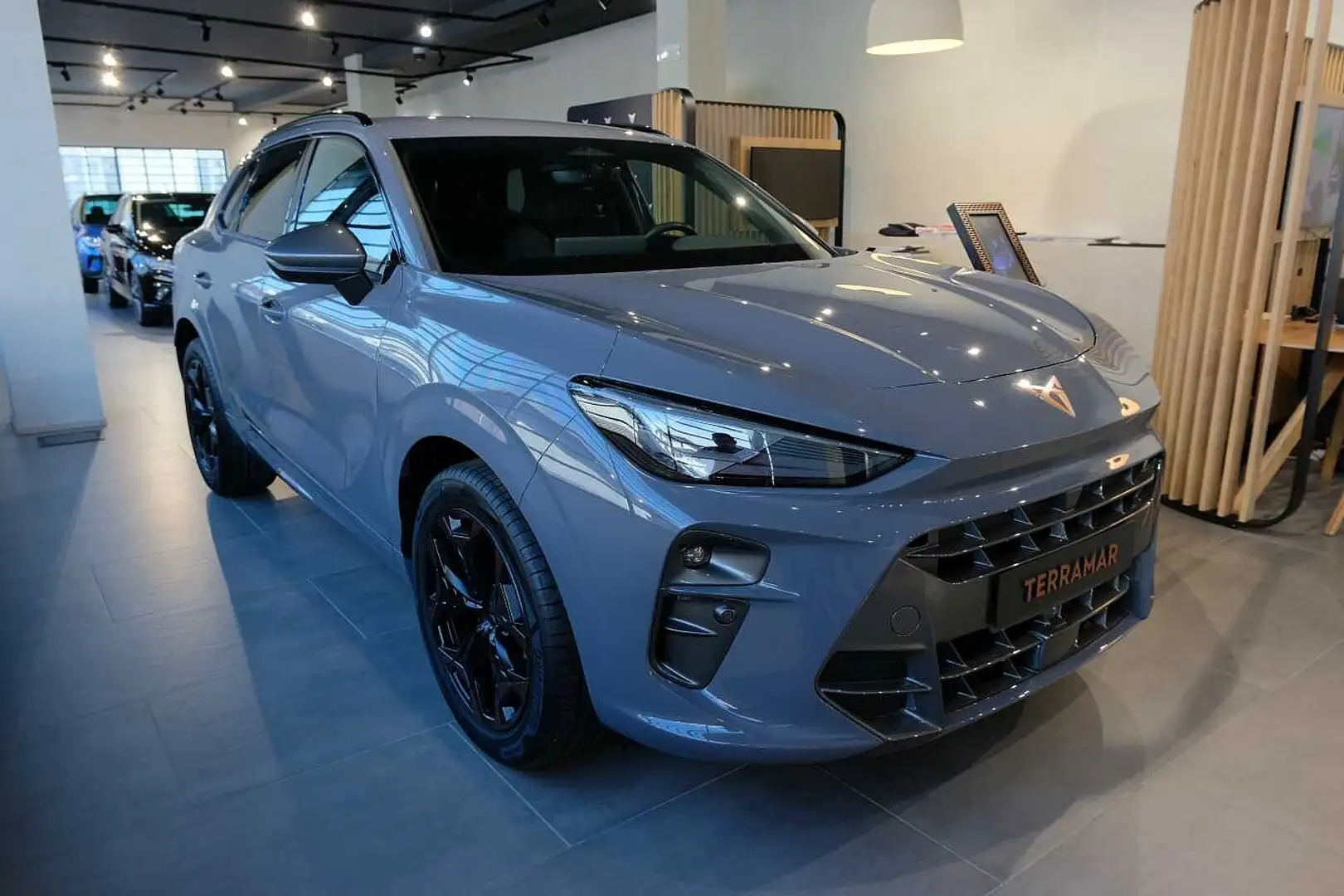 CUPRA Terramar 1.5 TSI Hybrid 150cv DGS Grigio - 1